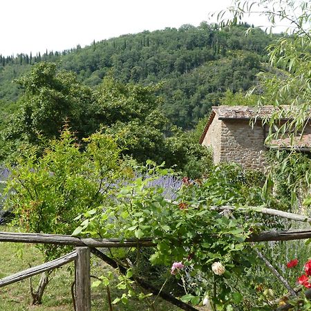 Villa Il Capriolo à San Cerbone Extérieur photo