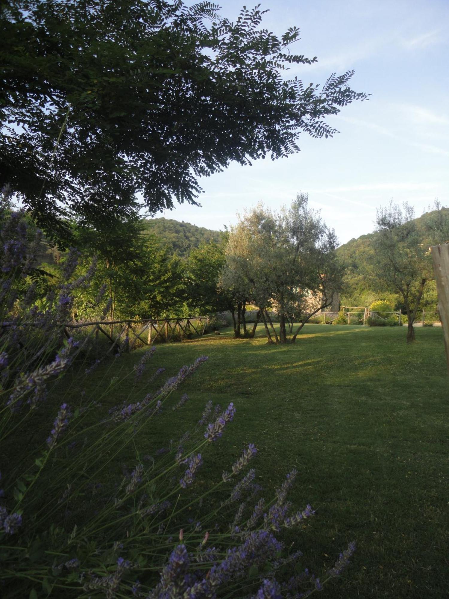 Villa Il Capriolo à San Cerbone Extérieur photo