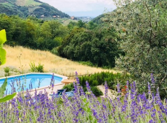 Villa Il Capriolo à San Cerbone Extérieur photo